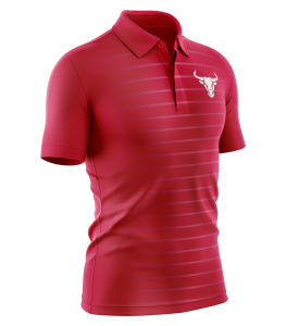 Field Hockey (Polo) - 1
