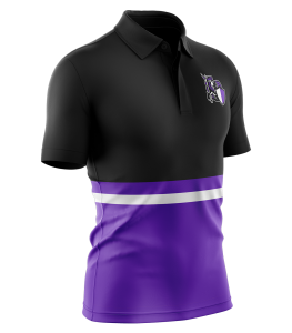 Football (Polo) - 13