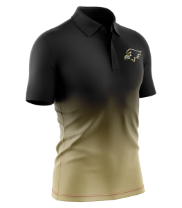 Football (Polo) - 14