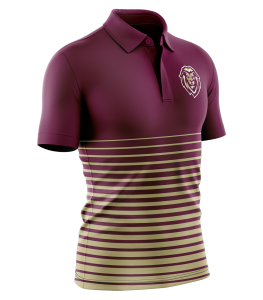 Football (Polo) - 15