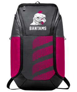 Volleyball Design 4 (Backpacks)