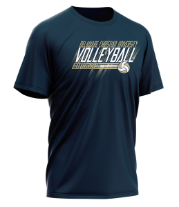 Volleyball Design 80 (T-Shirt)